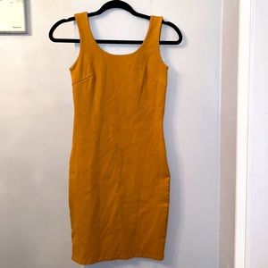 Basic spandex dress